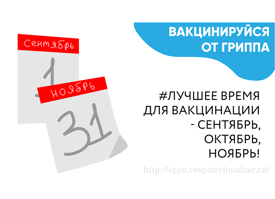 Лучшее время для вакцинации - сентябрь, октябрь, ноябрь